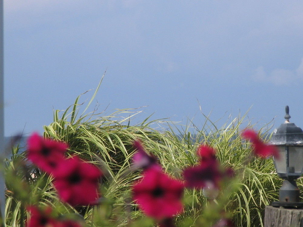 Southold Beach Motel Zewnętrze zdjęcie